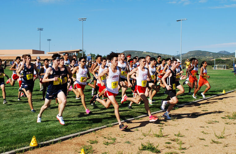 Cross Country teams continue hot streak with top ten rankings
