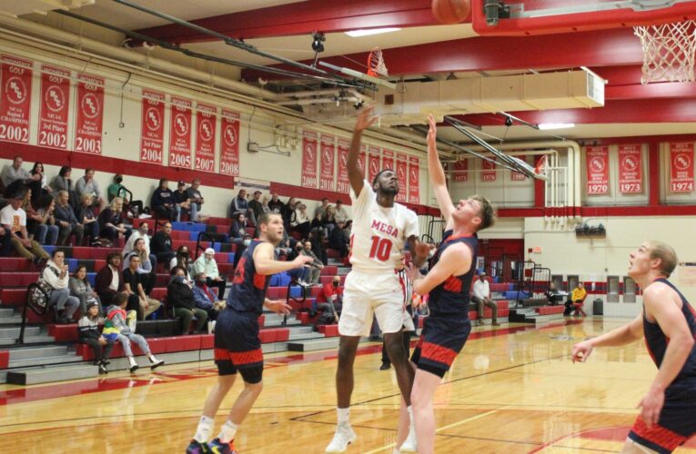 Thunderbirds away from the nest