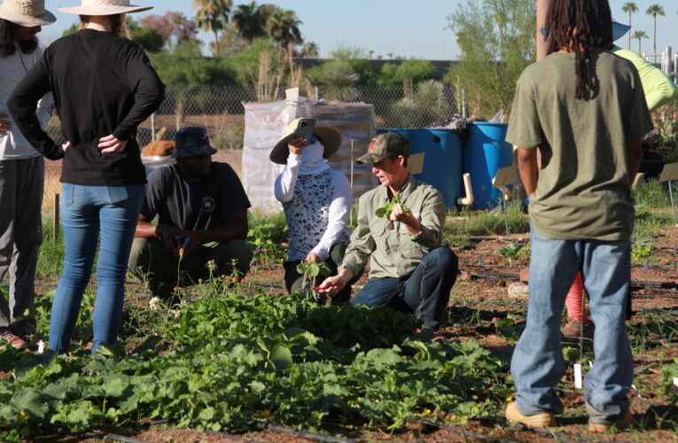 Agriculture and gardening aims to provide opportunities for students