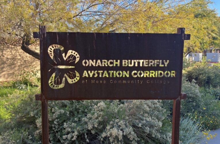 Monarch waystations at MCC aim to conserve butterfly populations