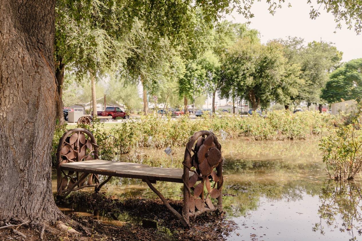 A bench in the MCC Rose Garden after a flood (Photo: Jak Holdcraft / Mesa Legend)